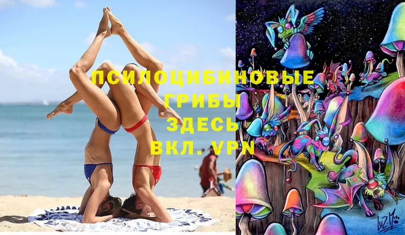 цена   Казань  Галлюциногенные грибы Psilocybe 